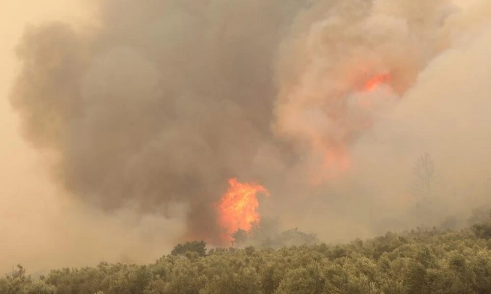 Φωτιά στην Αντίπαρο - Ξεκίνησε από όχημα και επεκτάθηκε σε παρακείμενη έκταση